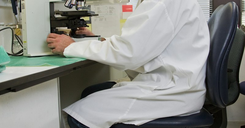 Ricerca in laboratorio al microscopio